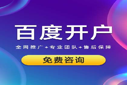 网络营销实战：成功竞价推广案例分析